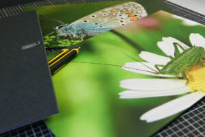 Laminovaná fotografie